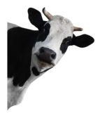 Logo von Krackower Agrar AG
