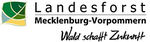 Logo von Jugendwaldheim Dümmer